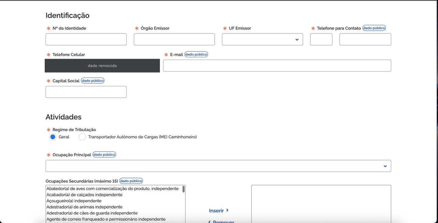 Formulário de identificação e atividades (ocupação/CNAE) do Portal do Empreendedor para abrir o MEI